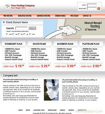 网络建设与技术服务 以天津亿速科技为例探讨ebdoor平台的价值