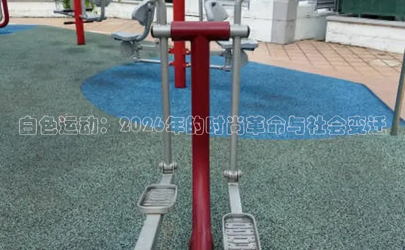 球速体育下载