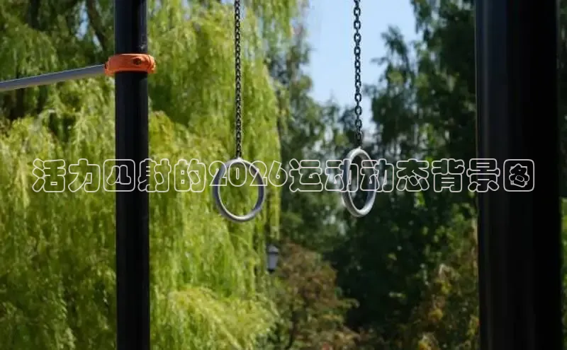 球速体育平台